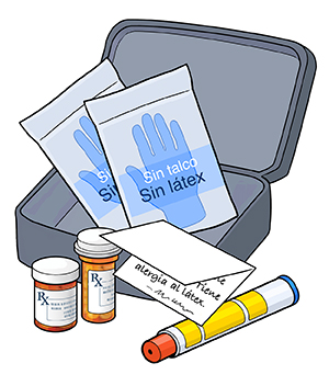 Guantes sin látex, epinefrina inyectable, frascos de pastillas, nota escrita y bolso de transporte.