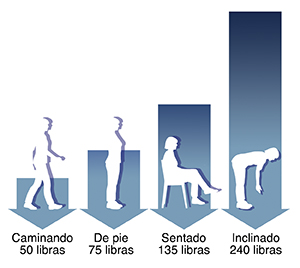 Gráfico que muestra la presión sobre la parte inferior de la espalda al caminar, estar de pie, sentarse e inclinarse.