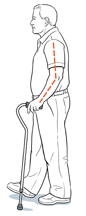 Side view of man walking with cane. Dotted line shows elbow slightly bent when hand is holding handle.